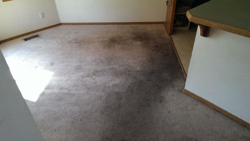 Dirty carpet with stains in a dimly lit room, highlighting neglected flooring condition.