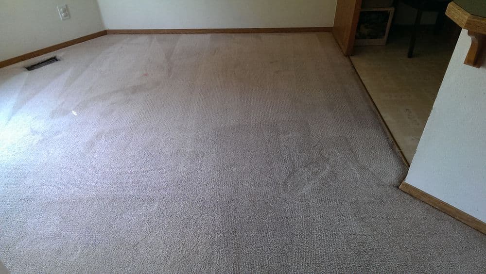 Clean beige carpet in a bright room, showing visible footprints and cleaning marks.
